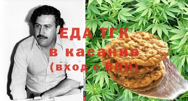 индика Новокубанск