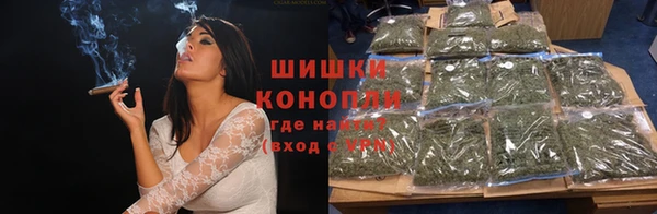индика Новокубанск