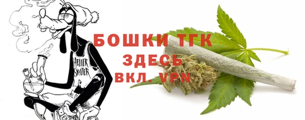 дурь Новодвинск