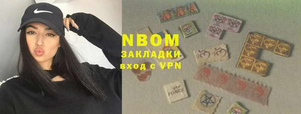 индика Новокубанск