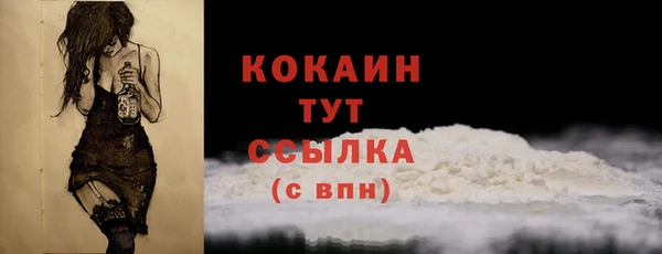 дурь Новодвинск