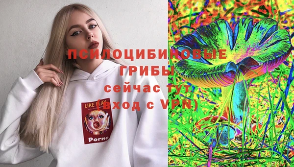MDMA Новозыбков