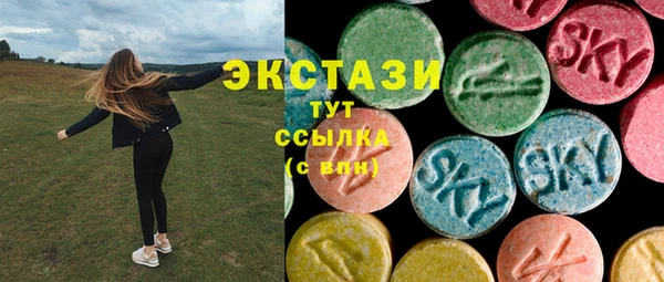 индика Новокубанск