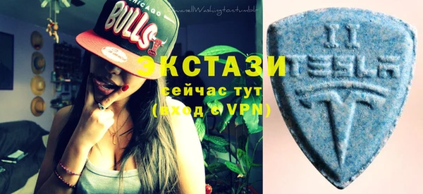 индика Новокубанск