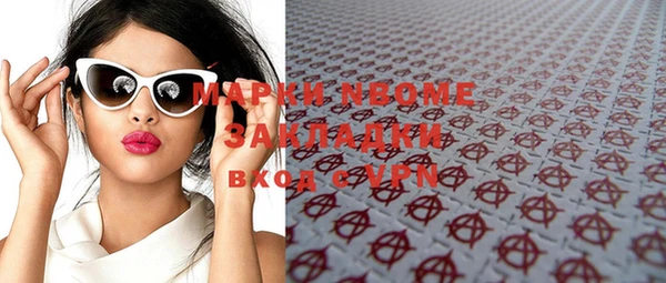 индика Новокубанск