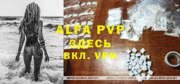 дурь Новодвинск