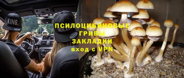 MDMA Новозыбков