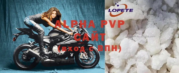 индика Новокубанск