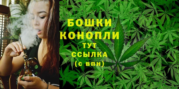 амф Болхов