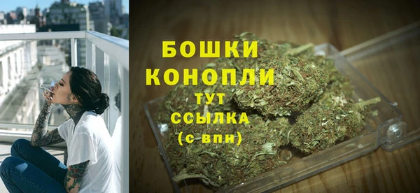 MDMA Новозыбков